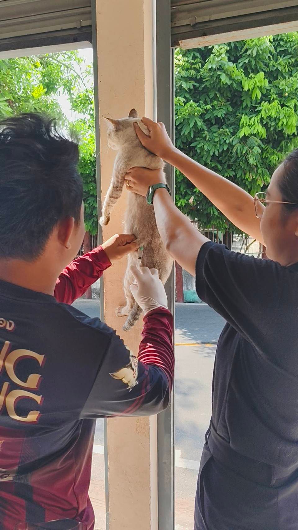 7/4/ 2569 ....เทศบาลตำบลบุ่งไหม โดยงานสาธารณสุข ออกบริการฉีดวัคซีนป้องกันโรคพิษสุนัขบ้า ประจำปีงบประมาณ 2569 เพื่อป้องกันการแพร่ระบาดโรคพิษสุนัขบ้า บ้านสวนสวรรค์ หมู่ที่ 5 (บ่าย)